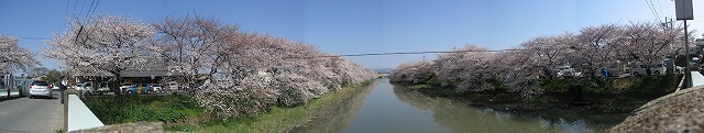 パノラマ写真