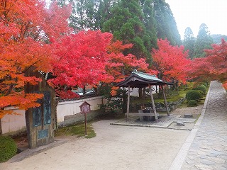 一休寺の紅葉