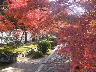 一休寺の紅葉